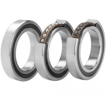 FAG 100(T) 100SS* High Precision Ball Bearings