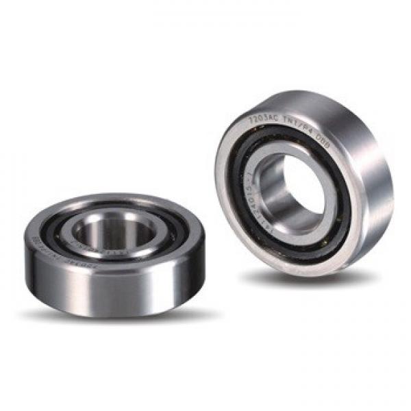 INA ZKLN60110-2RS Precision Bearings #1 image